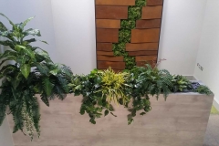 Bespoke Trough Planters