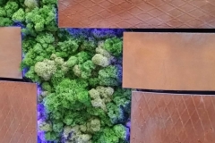 Green Walls