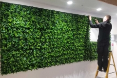 Green Walls