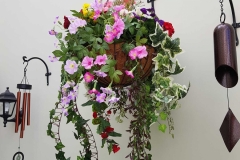 Hanging Baskets