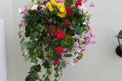 Hanging Baskets